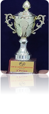 ankur group award-2